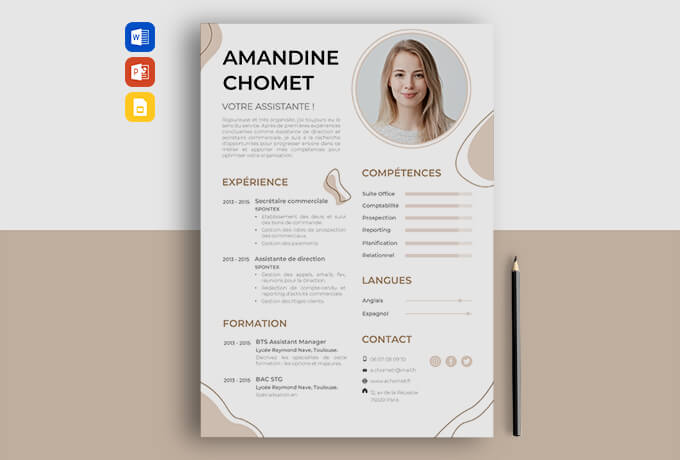 curriculum vitae francais