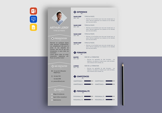 exemple d'un cv pour un stage   25