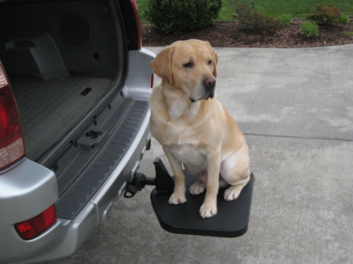 dog ramp for subaru forester