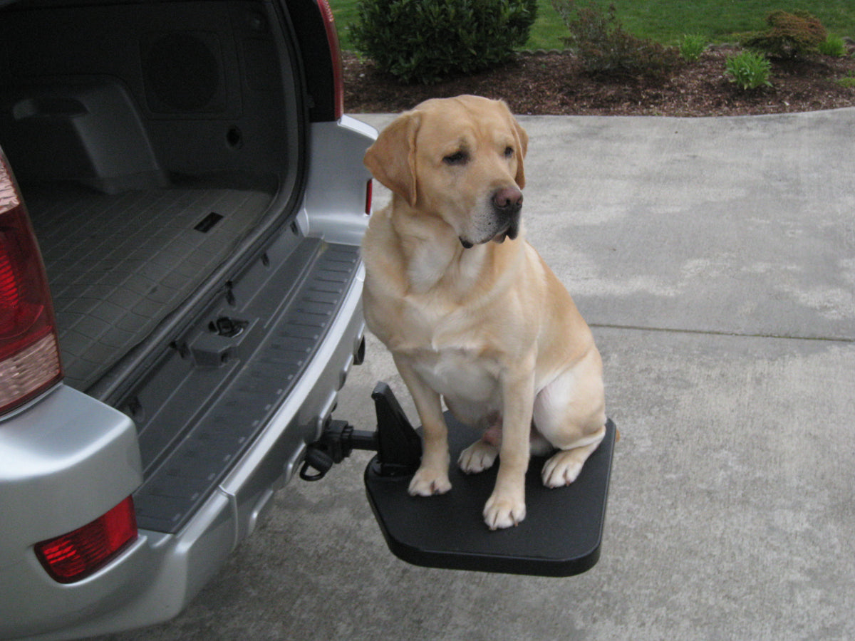 dog steps for suv