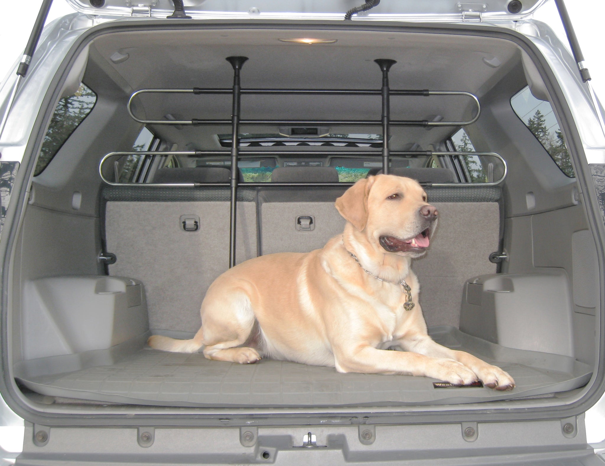 vehicle pet partition