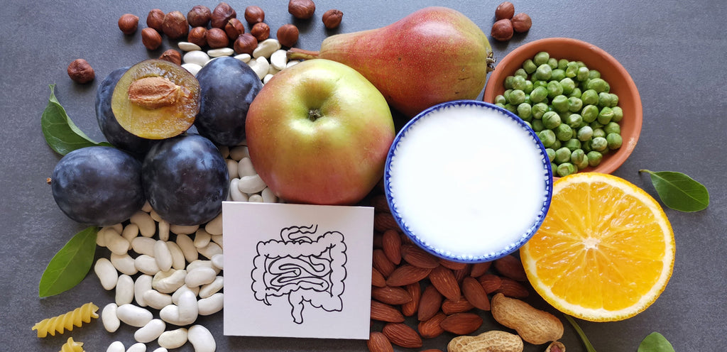 Grouping of healthy foods with an intestine icon