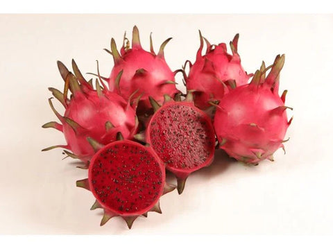 How to Grow Dragon Fruit Seeds or Cuttings