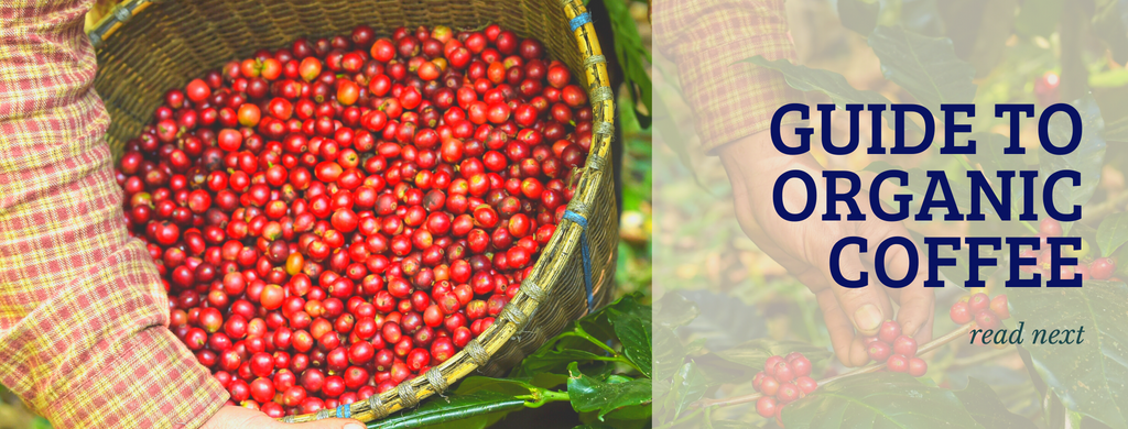Banner reading: Guide to Organic Coffee