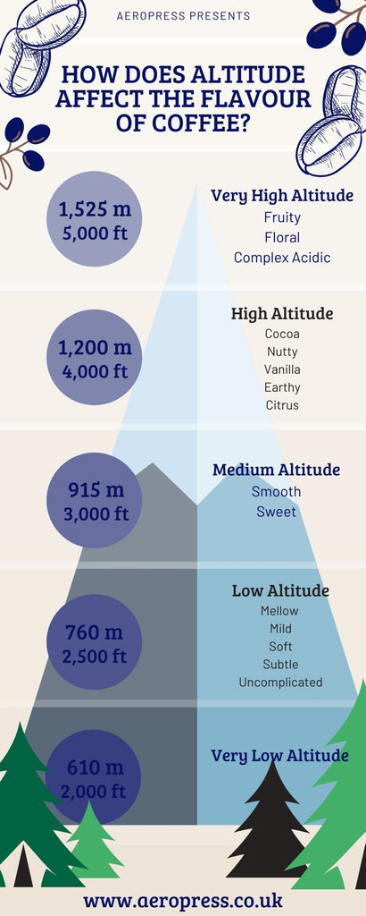 Infographic of coffee bean flavour profiles