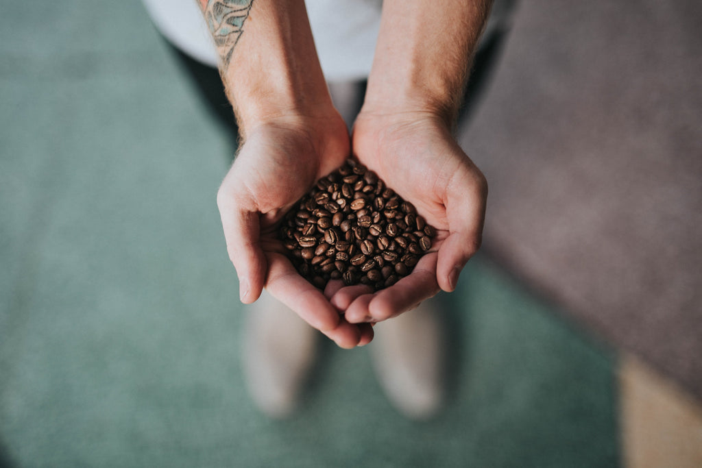 Hands holding coffee beans 