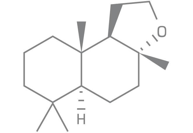 Making Homemade Molecule 02, Ambroxan