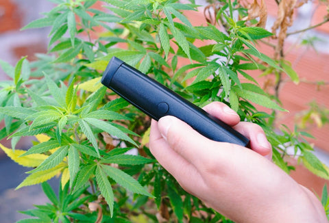 Qualities of vaporizers that will make your life better
