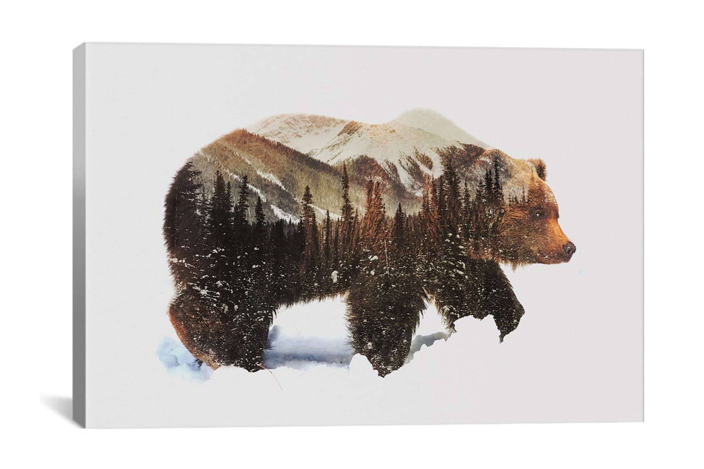 Andreas Lie Arctic Grizzly Bear - Giclee Canvas - Modern Artwork Sold By Apt2b