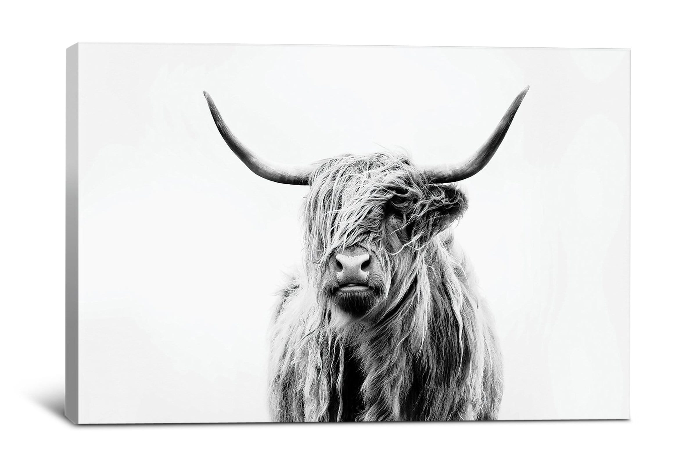 Dorit Fuhg Portrait Of A Highland Cow - Giclee Canvas - Modern Artwork Sold By Apt2b