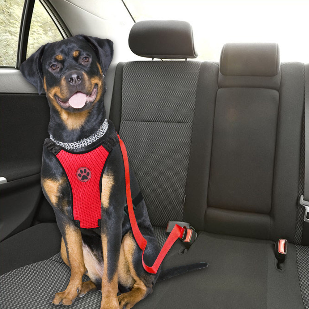 dog car harness