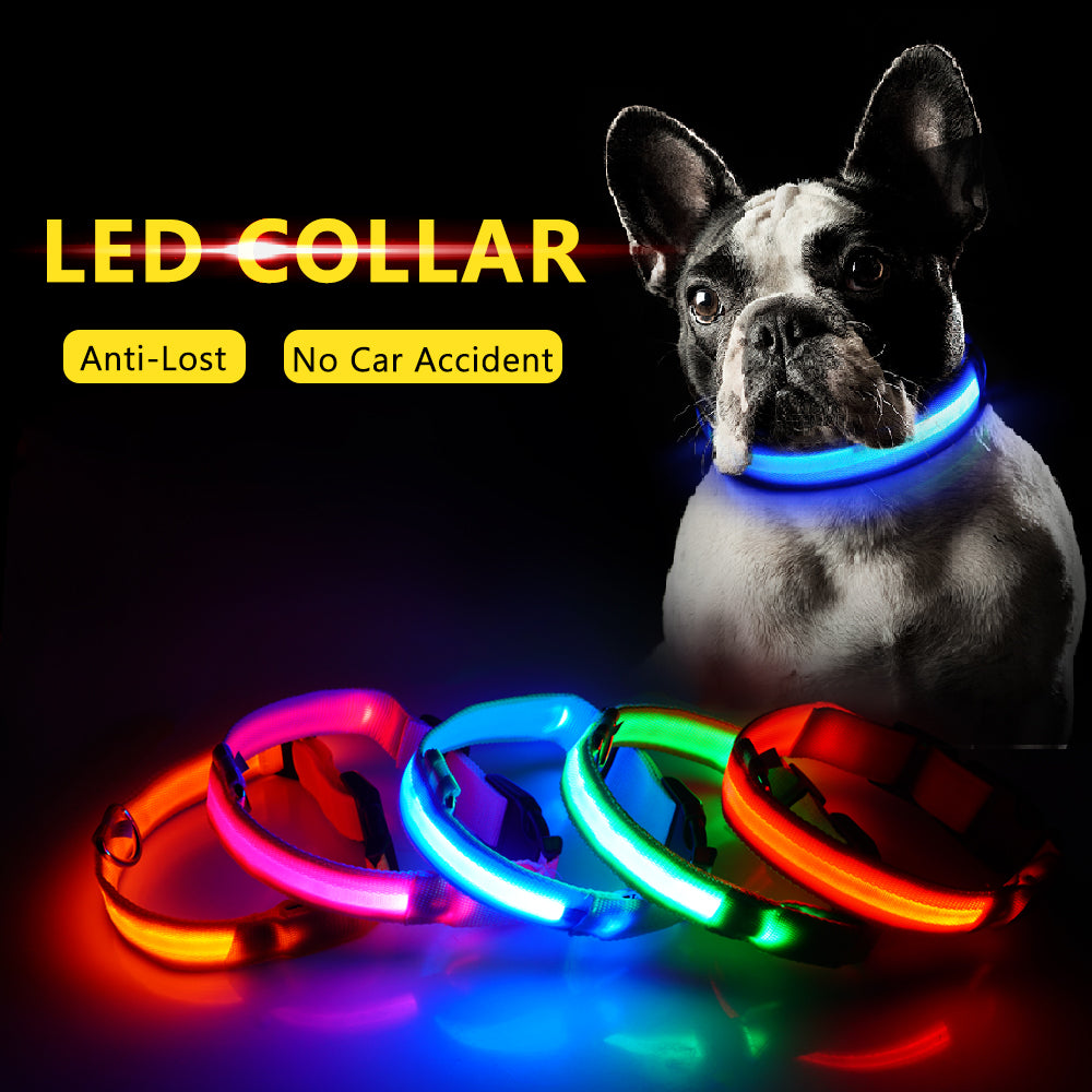 glow in the dark dog collar