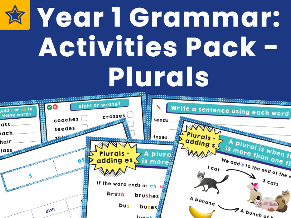 Year 1 Grammar: Activities Pack - Plurals — Plazoom