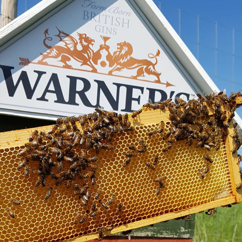 Warner's Honey Harvest