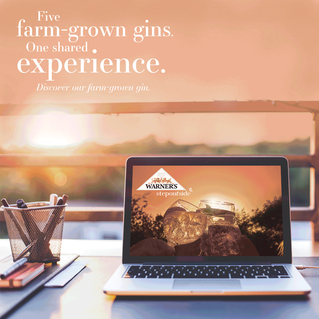 Join our virtual gin tasting and tour experience