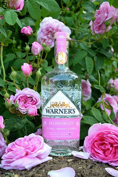 Warner's Blossom Gin