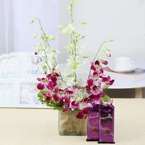 Colorful Orchids Vase with Silk Chocolate Combo