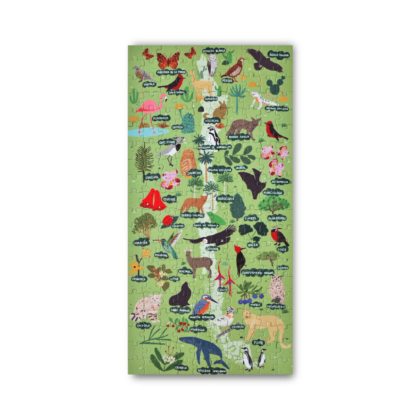 puzzle infantil de doscientas piezas flora y fauna chilena, naturaleza ilustrada, para regalo o souvenir