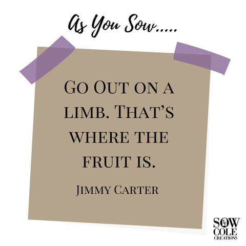 Go Out on a limb. That’s where the fruit is.