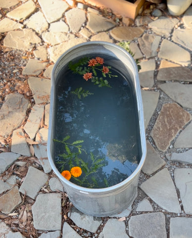 cold plunge with flowers