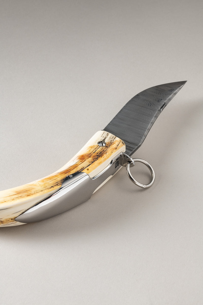 Coltello zanna - Tusk knife