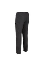 Load image into Gallery viewer, Regatta Mens Highton Hiking Trousers (Magnet)