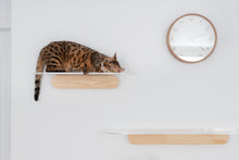 Load image into Gallery viewer, Oblong 35 in. Clear Acrylic Floating Cat Shelf