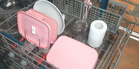 Dishwasher Safe Bento Box and Lunch Box