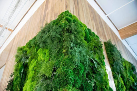 preserved_moss_and_fern_corner_wall