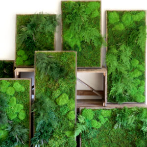 Moss Art & Ferns 70 X 36  ArtisanMoss - Artisan Moss