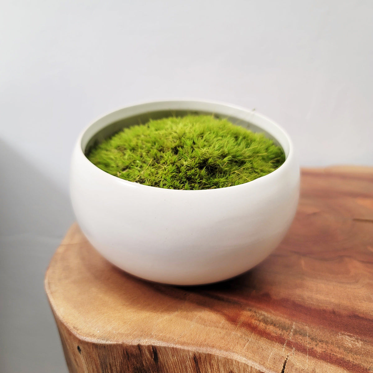 Small Round Bowl Mossed - $90.00 : Forever Green Art, Preserved Plants for  Home and Business