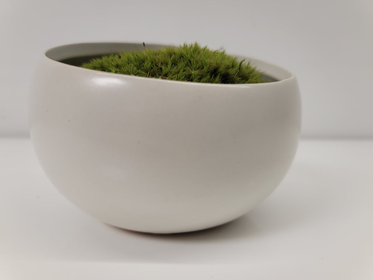  MD MACOMINE DESIGN Moss Bowl