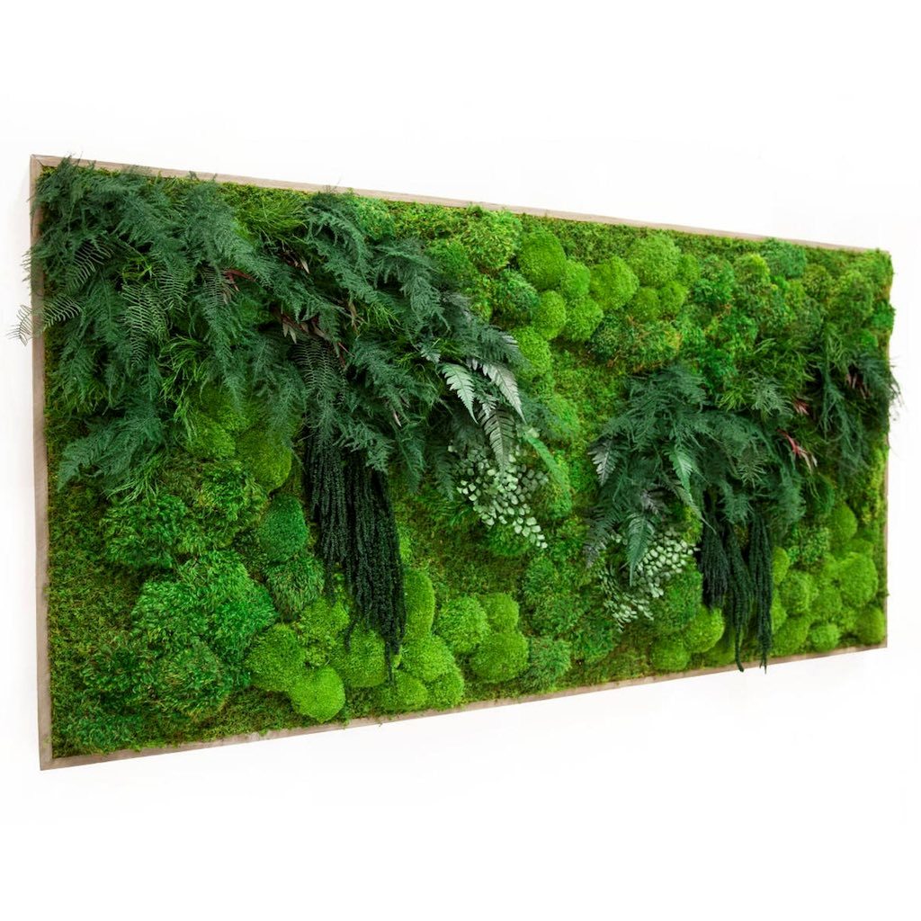 A Forest Symphony - Framed Moss Wall Art Piece: 24x36 – Moss Acres