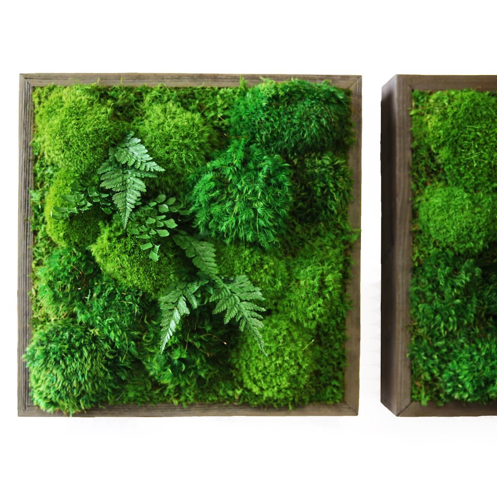 Framed artificial moss and green art –
