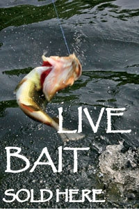 Aluminum Two Sided Panel for Flexible Curb Sign "Live Bait Sold Here"