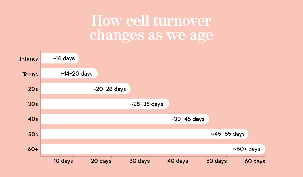 How skin cell turnover changes as we age: graph