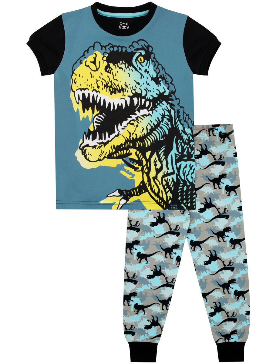 Buy Kids Dinosaur Pyjamas I Kids Pyjamas I Harry Bear