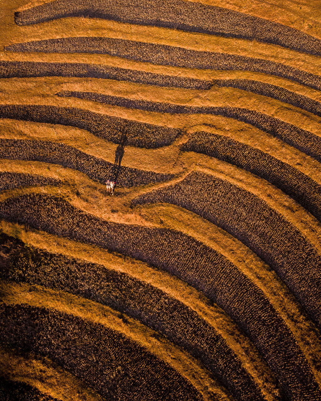 Nous sommes fans des cultures de riz en terrasse ! Plus de photos de drone : <a href="https://www.johandroneadventures.com" target="_blank">www.johandroneadventures.com</a>