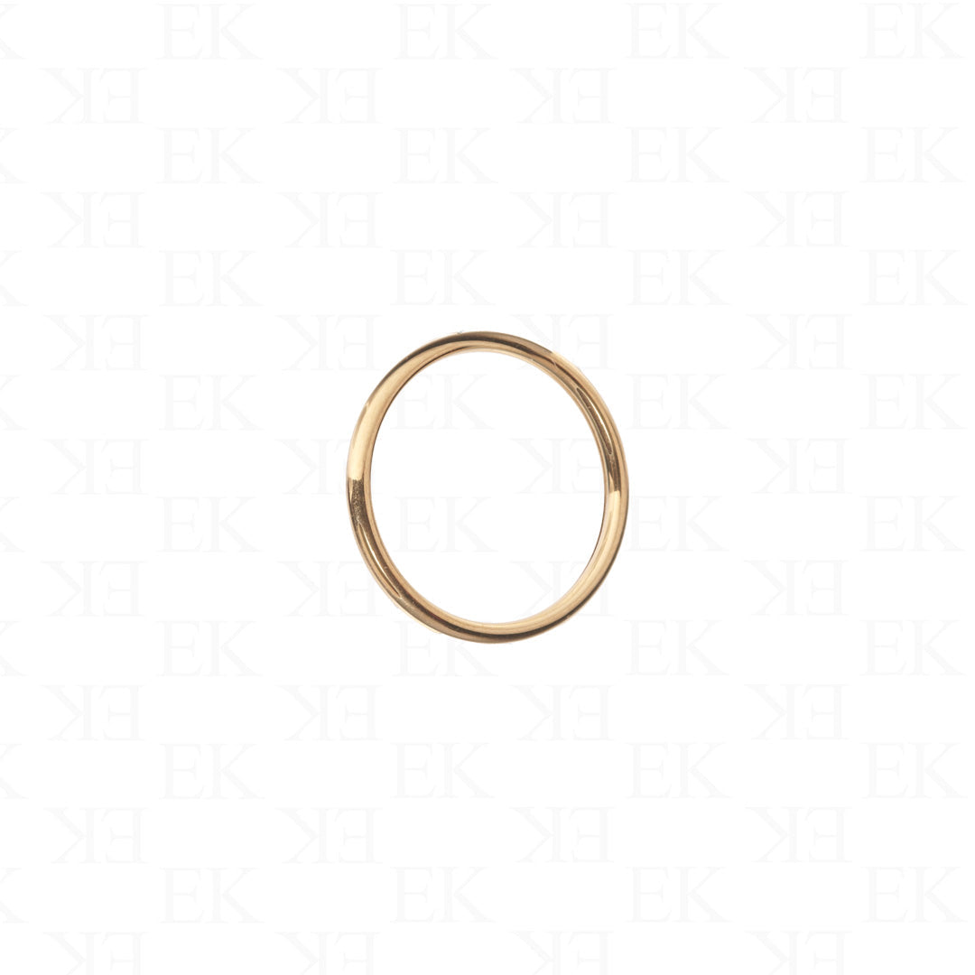 Daily Titanium Ring Gold