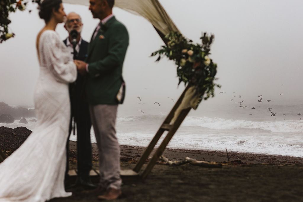 California beach wedding gulls flying over waves