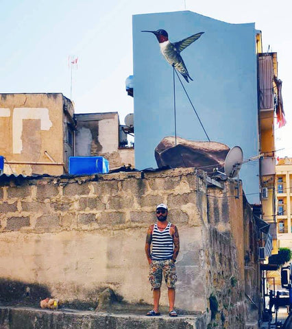 Colibrì che spinge un masso _ Andrea Buglisi