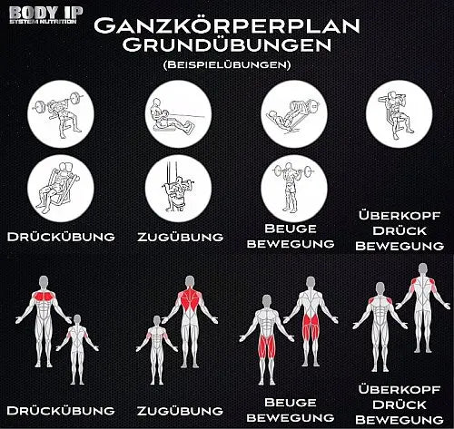 Beispiel für Ganzkörpertraining