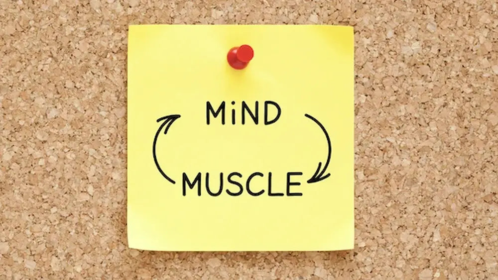 Mind Muscle Connection