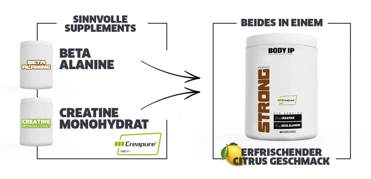 Perfect Strong Creapure Kreatin und Beta Alanine