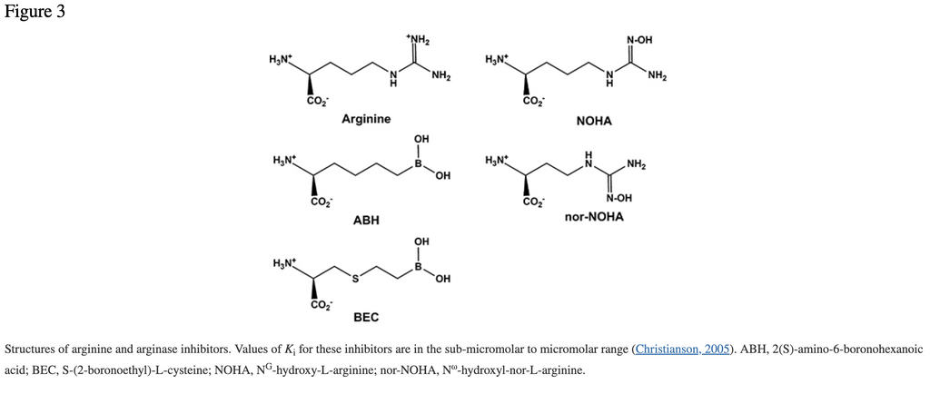 arginase-inhibitor-structure
