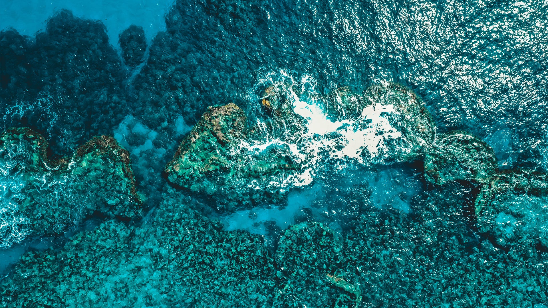 Blue Biotechnology Using Marine Molecules for Wellness One Ocean Beauty