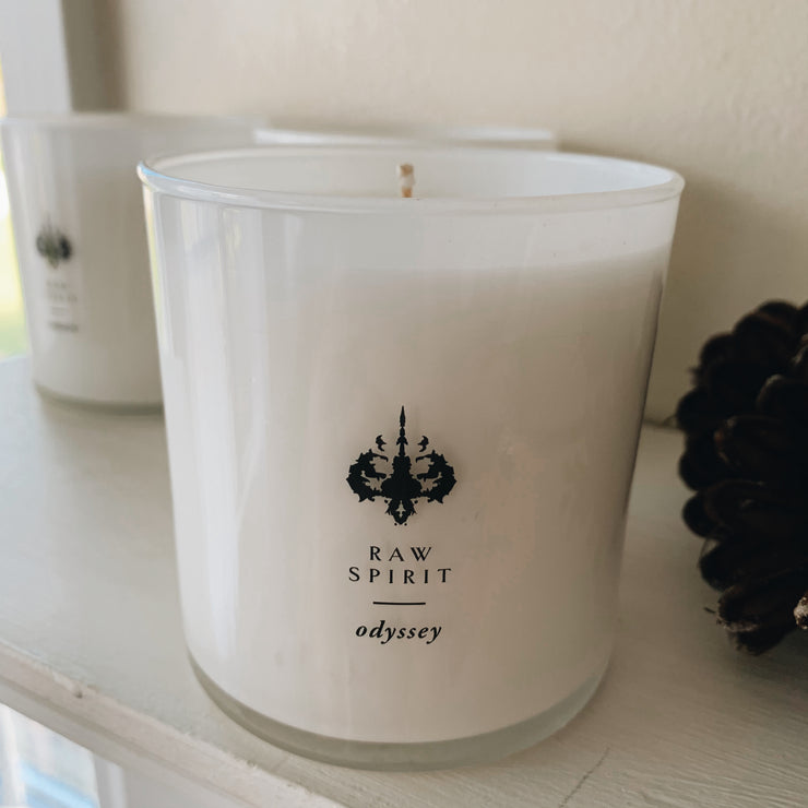 Juicy notes of pear and light, fresh florals create a pleasant and dreamy scent to accentuate your space. Odyssey is an incredible blend of breezy florals and sweet fruit that achieves the feeling of a mystical excursion.