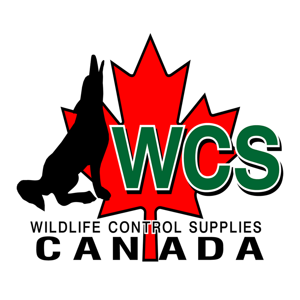 WCS Canada store