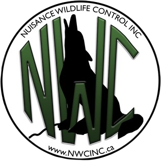 Nuisance Wildlife Control Inc