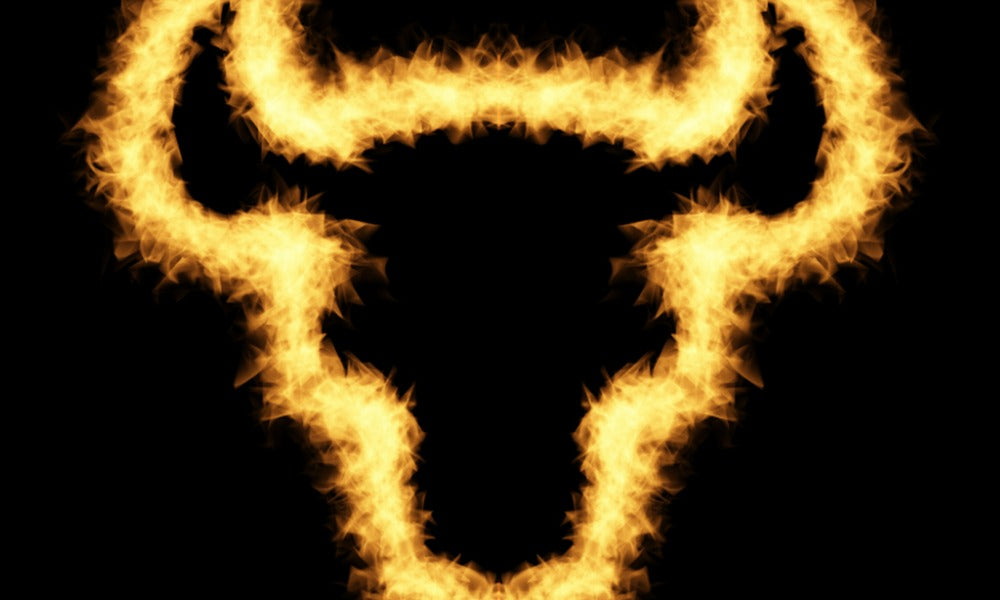 The outline of a bull’s head formed in fire, indicating Bull outdoor grills.